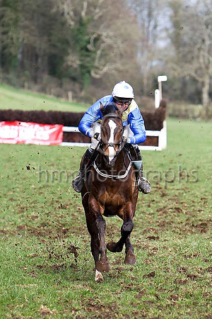 Fifth Race - Billabong - CU2D7153-e