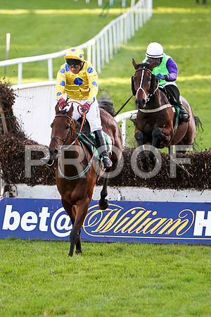 Lets Go Sunshine in the lead , Jockey J L Cullen - Winner & Strolling Home, Jockey P Townend - 2nd - CU2D9452-e