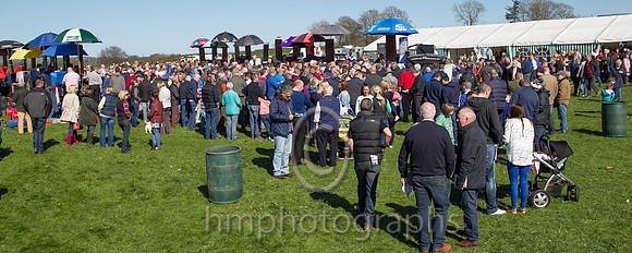 Large crowds at the new course at Broughshane, near Ballymena at the Mid-Antrim Hunt Point to Point