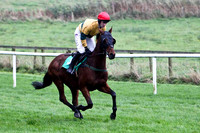 Wango , 14th - Jockey B T O'Connell - FT8E5262-e