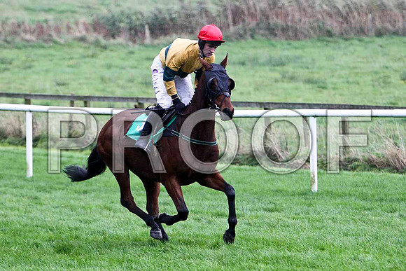 Wango , 14th - Jockey B T O'Connell - FT8E5262-e