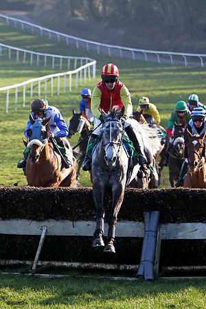 Hughies Grey Winner, Jockey M Darcy -FT8E0491-e2