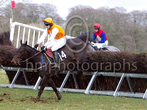 Second Race - Tango for Nellie(GB) (14) 5th, jockey M J O'Hare & The Lady in Grey?- CU2D7070-e23a4j