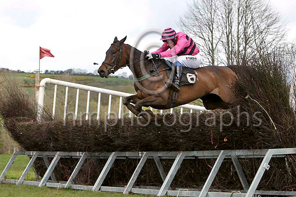 Now I win Again & B G Crawford - 2nd -FT8E0975-e2