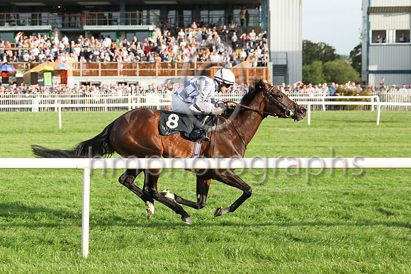 01st Perotan (8 , grey and white check ) Jockey: W M Lordan , Trainer: A P O'Brien