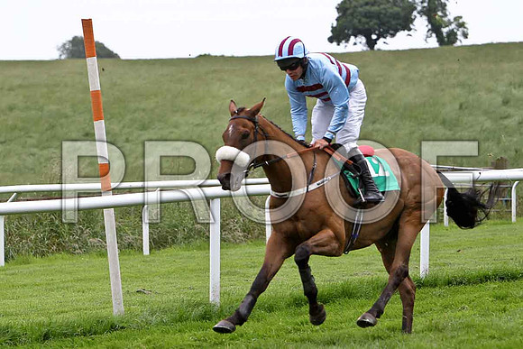 Alamiyan 10th, Jockey R C Colgan - CU2D0799-e