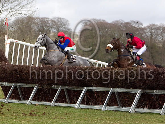 Second Race - The Lady in Grey (blue sleeves)?? & Hop Sally PU , jockey T B White - CU2D7062-e3a4j