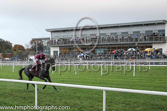 03rd Morgan and Mr L J McGuinness ( 5 , maroon, white star, maroon cap ) Trainer - G Elliott , Owner - Gigginstown House Stud