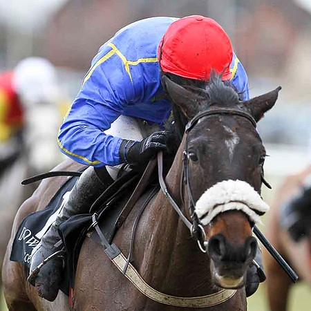Lord Rudi - 5th - Jockey N J O'Shea -  CU2D3195-e