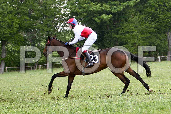 Redbridge Lady , PU, Jockey G L Murphy - FT8E2579-e