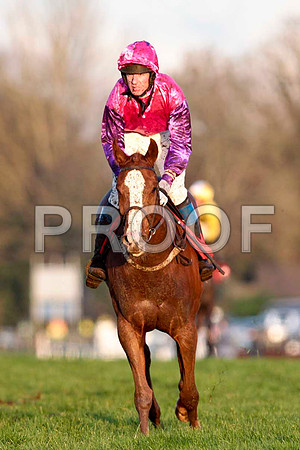 Cabra Cruizor - 13th , Jockey Mr J T Carroll - CU2D0002-e