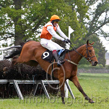 Glenariffe , 2nd, Jockey C Cully - FT8E2368-e