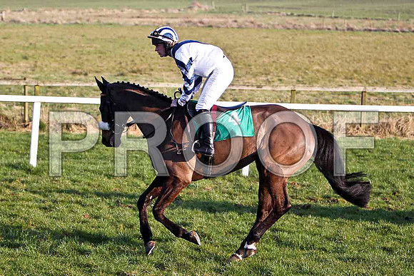 Bold Ali - Fell, Jockey Mr T Reilly - FT8E0565-e