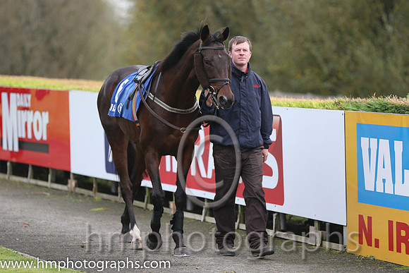 07 Sarah Battle and A F O'Neill - - 07th (6 ,salmon pink, dark green hoop ) Trainer - G Quirk