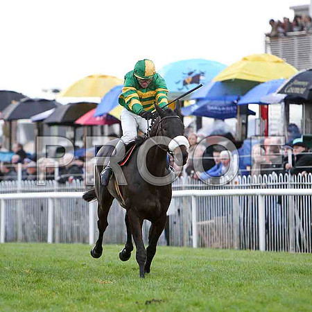 Darling Harbour , Jockey D J Casey - Winner CU2D1247-e