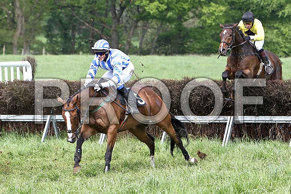 Fifth Race Div 2 - Connie de Mar (5) 3rd, Rider B G Crawford & Top Gal (39) 4th, Rider M J Henry - CU2D9702-e