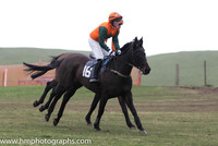 2014/02/08th - Race 1 - East Down Foxhounds Point to Point Steeplechases at Tyrella