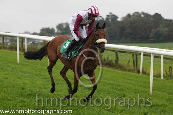 04 Point The Toes &amp; Mr J J O'Neill - 4th(3,white, maroon spot)