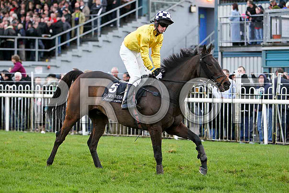 Trotsky , Jockey M W Bowes - 10th -  - CU2D1251-e