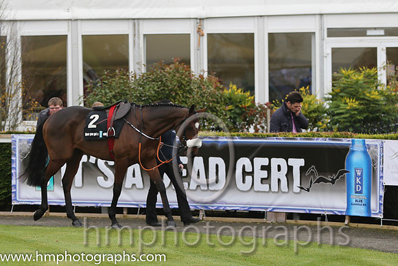 07 Tiger Roll and B J Cooper - PU - 07th (2 ,maroon white star ) Trainer - G Elliott