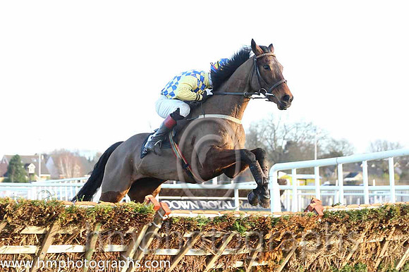 14 Probably Not & A F O'Neill - 14th (8, royal blue and yellow check) - CU2D9855-70