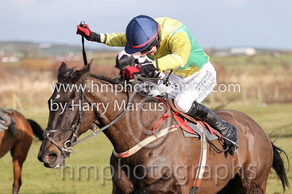 01 Mr Bolt  D H Lavery - Trainer : Sean McParlan, Black and tan check