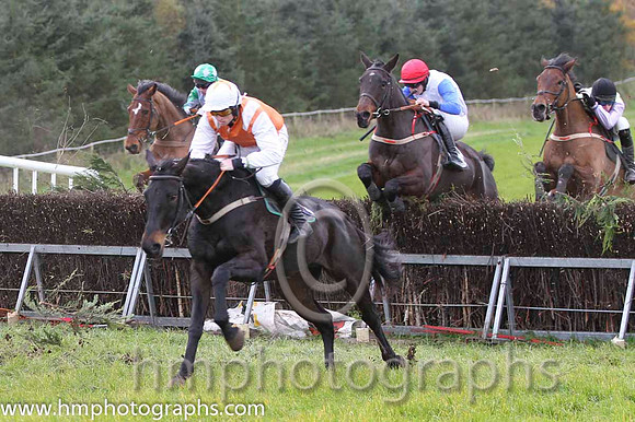 01 Whats Left & J J Codd - winner (16, white, red sash) - FT8E0857-28