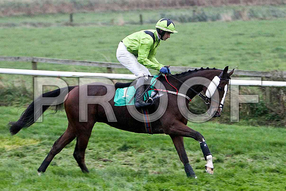 A Little Different , PU - Jockey P Townend - FT8E5454-e
