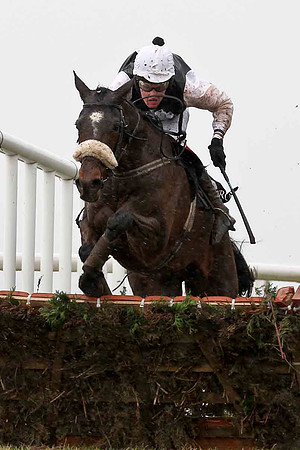Kellystown Jack 4th, Jockey B Browne - CU2D3226-e