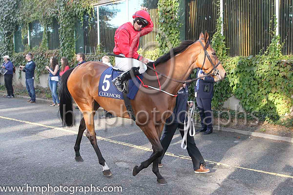 05 Wanabe Better and W M Lordan - - 05th (5 ,red, black seams ) Trainer - T Stack