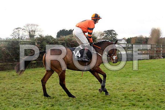 The Corby Glenn , Jockey E J O'Connell - 3rd - FT8E4864-e
