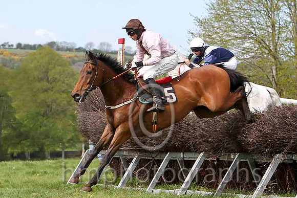Aces Or Better , Winner , Jockey - J J Codd -FT8E2095-e2