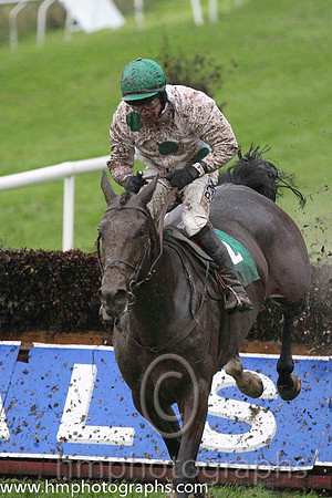 03 Araglen Lad & R C Colgan - 3rd (2, white, emerald green large spots) - FT8E9102-14