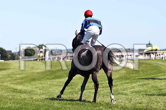 Patrickswell - Winner, Jockey L F Roche - CU2D0190-e