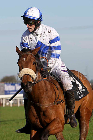Dustland Fairytale , PU - Jockey B T O'Connell - FT8E6454-e