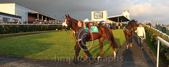 Downpatrick Racecourse Parade Ring