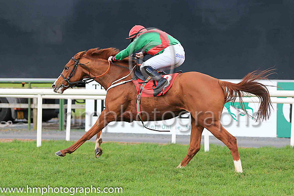 01st Rashaan and S W Flanagan ( 3 , green, red cross belts ) Trainer - C Kidd , Owner - Mrs T J Kidd  Mrs R Treacy