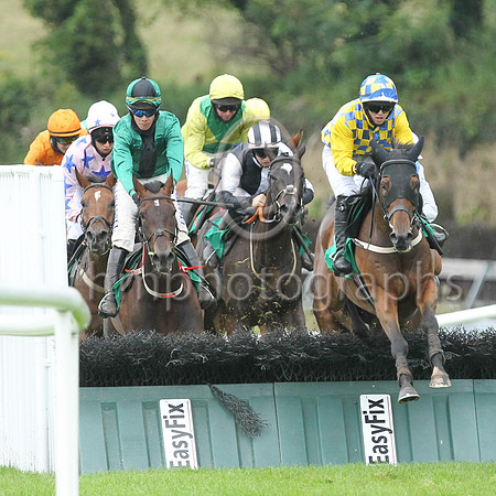 02nd Mary Of De Sorrows and J M Moore ( 1 , black and white hlvs ) Trainer - G P Cromwell , Owner - Martin Hannan