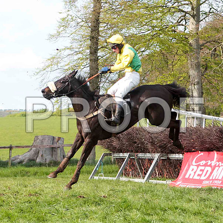 Fayebay , 4th, Jockey - N McParlan -CU2D4681-e