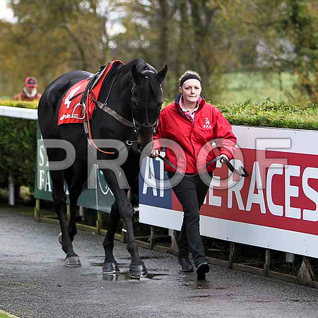 The Nightingale , Jockey Ruby Walsh - Winner - CU2D1164-e