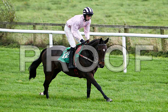 Nanna Maura , 2nd - Jockey E J O'Connell - FT8E5174-e
