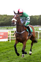 Leblon , Winner , Jockey S G McDermott - FT8E2909-e2