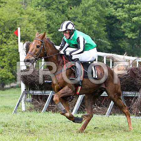 Nik Libre - Unplaced, Jockey C McCartan - FT8E2509-e