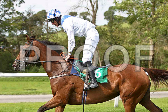 Star Wood winner, Jockey D N Russell - CU2D1611-e2