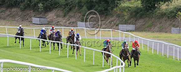 01st Another Choice (1 , green and white hlvs ) Jockey: Paul Townend , Trainer: Matthew J Smith