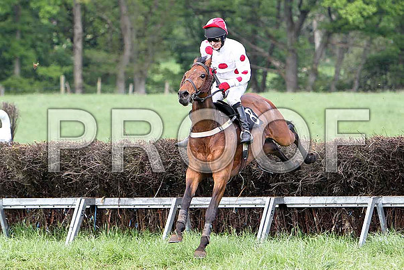 Race 6 Div 1 - Dunford Park (8) 5th, Rider E magee - CU2D9778-e