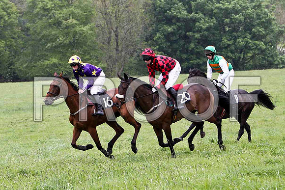 Made You Look Good, 3rd, Jockey - G M Mangan , Odd One Out , RO, Jockey - J J Codd & Ile Do My Best , PU , Jockey P J Flood -  - FT8E2638-e