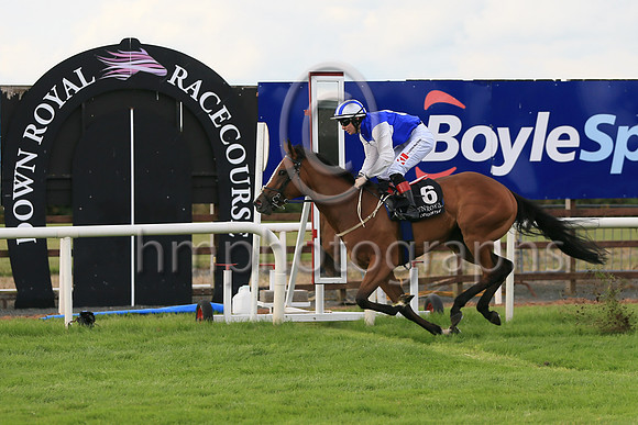01st Amazing Show (6 , light blue, white disc ) Jockey: C T Keane , Trainer: G M Lyons