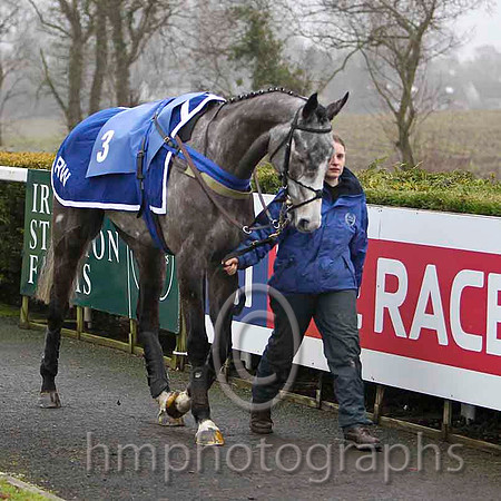 Yes Tom - Jockey A P THornton - 3rd - CU2D1766-e