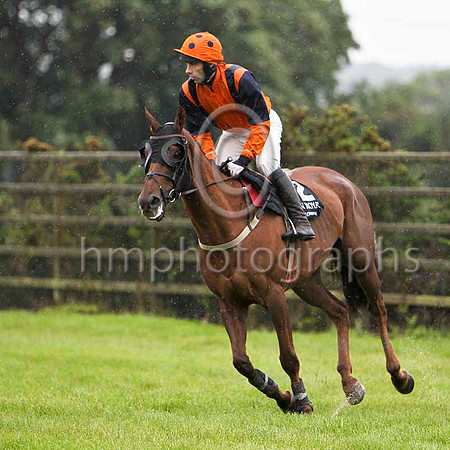 Whatuthink & T J Doyle - winner (12, orange, dark blue braces) - FT8E5204-e